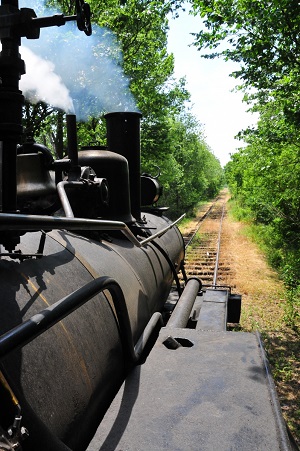 Participant at the controls during Throttle Time