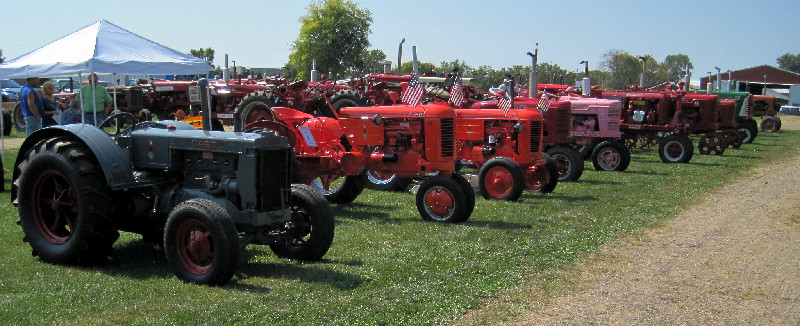 Row of antique tractors at the club show